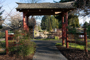 14th Jan 2020 - Serene Japanese Garden