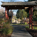 Serene Japanese Garden by theredcamera