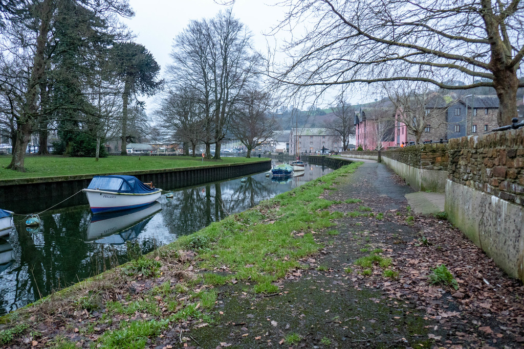 Morning wander along the river.... by susie1205