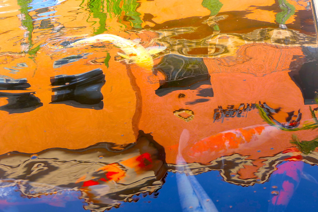Koi Pond Abstract by redy4et