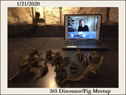 25th Jan 2020 - Big Pig/Dino 365 Meetup!