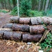 Log Pile by allsop