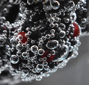 26th Jan 2020 - Blackberries bubbles on black