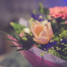 Birthday Bouquet by panoramic_eyes