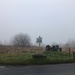 Little grey Fergie on a foggy day. by happypat