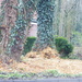 Tree maintenance by speedwell