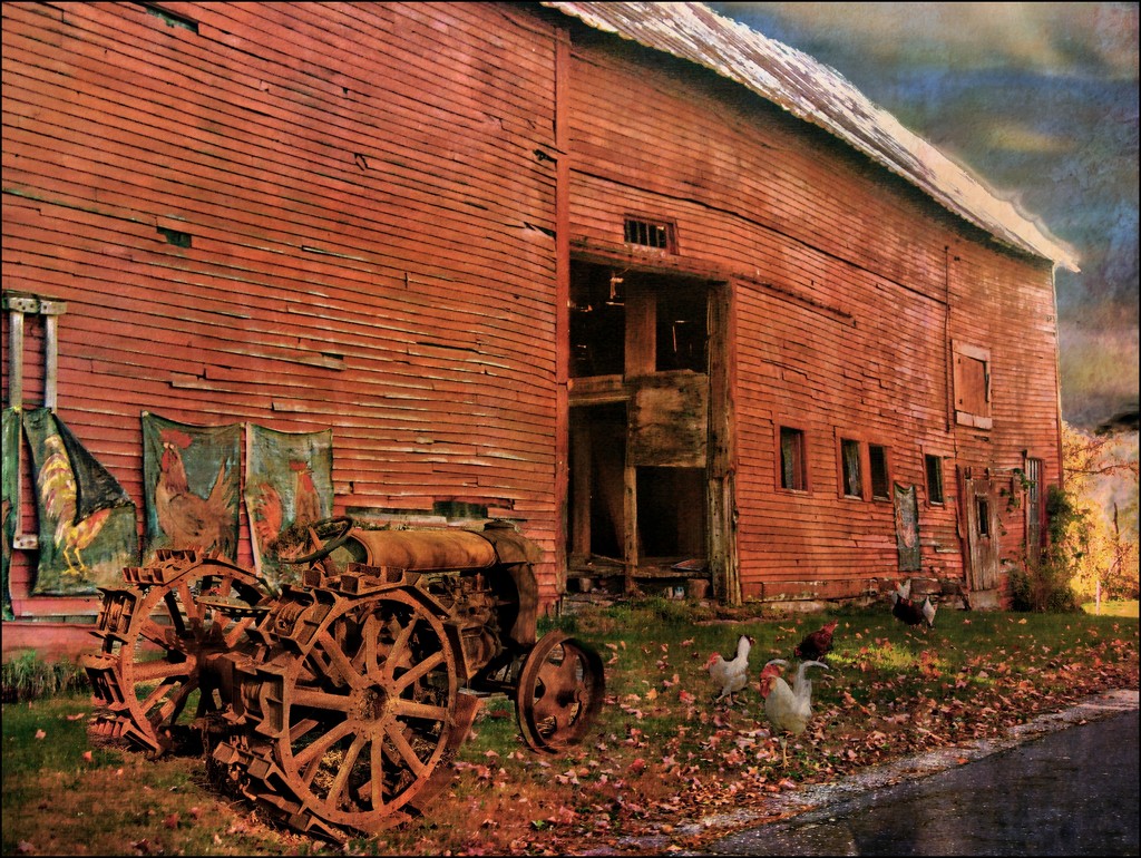 Rusty Tractor by olivetreeann