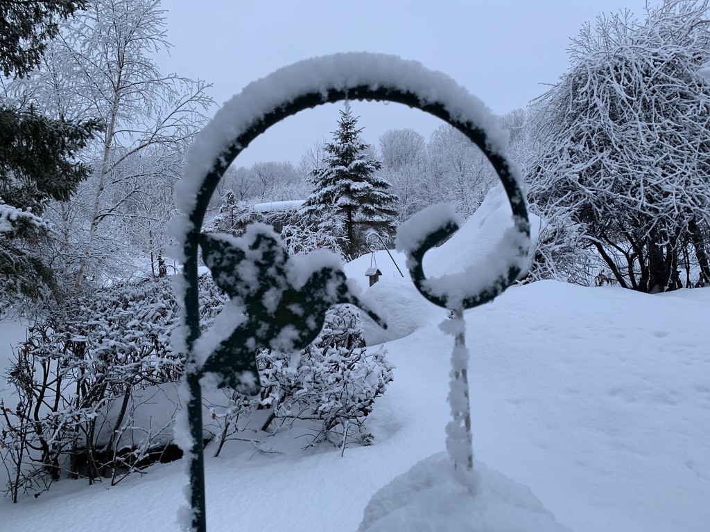 My Snowy Backyard by radiogirl