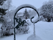 26th Jan 2020 - My Snowy Backyard