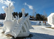 25th Jan 2020 - Finished Snow Fish Sculpture