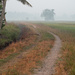Rice Paddy Track by ianjb21
