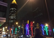 23rd Jan 2020 - Colorful forest in Midtown Atlanta