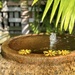 Feng Shui Fountain by redy4et