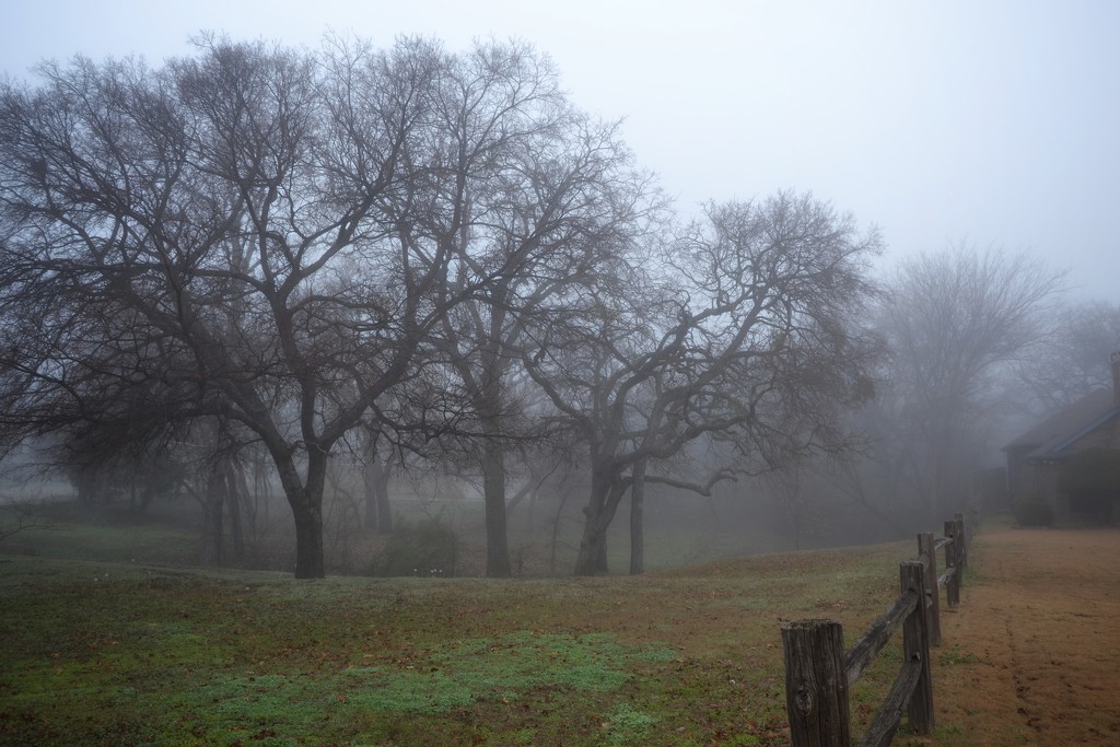 A foggy morning by louannwarren