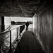 Canal Underpass - and Matt... by vignouse