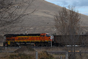 28th Jan 2020 - Burlington Northern Santa Fe Railway