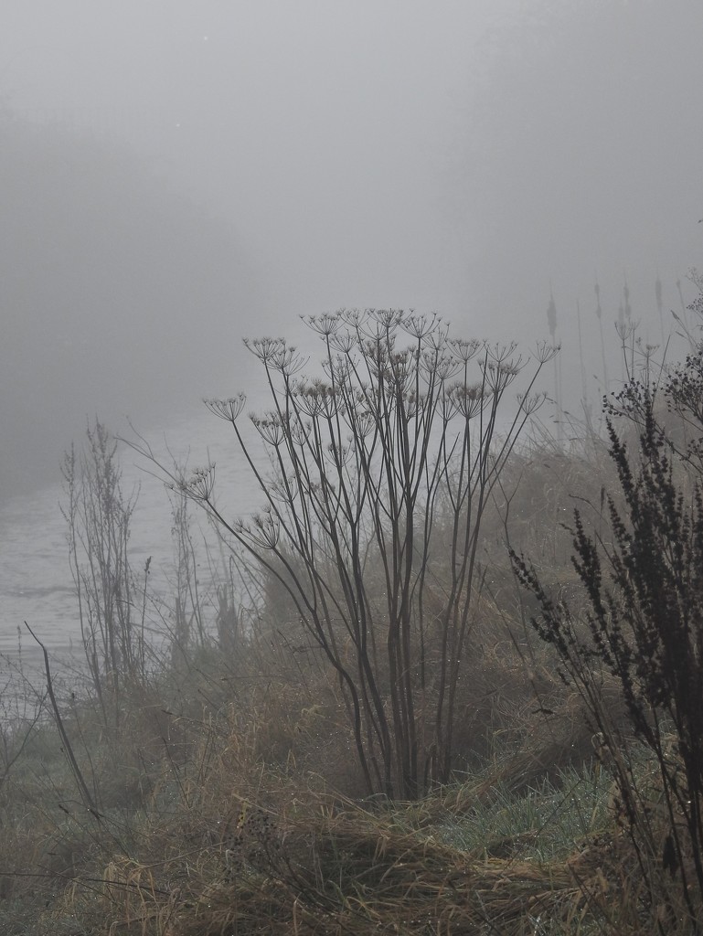Misty River by oldjosh