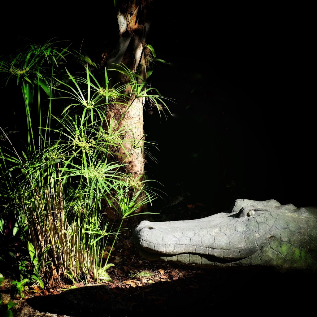 See Yah later- alligator 🥰 by joemuli