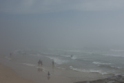 22nd Jan 2020 - sea mist