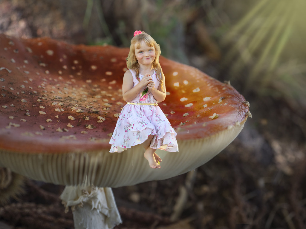 Mushroom and the girl by gosia