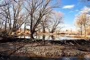 28th Jan 2020 - Natural dam on the Poudre