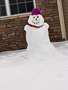 29th Jan 2020 - Snow person