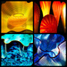 Chihuly Glass Up Close & Personal by yogiw