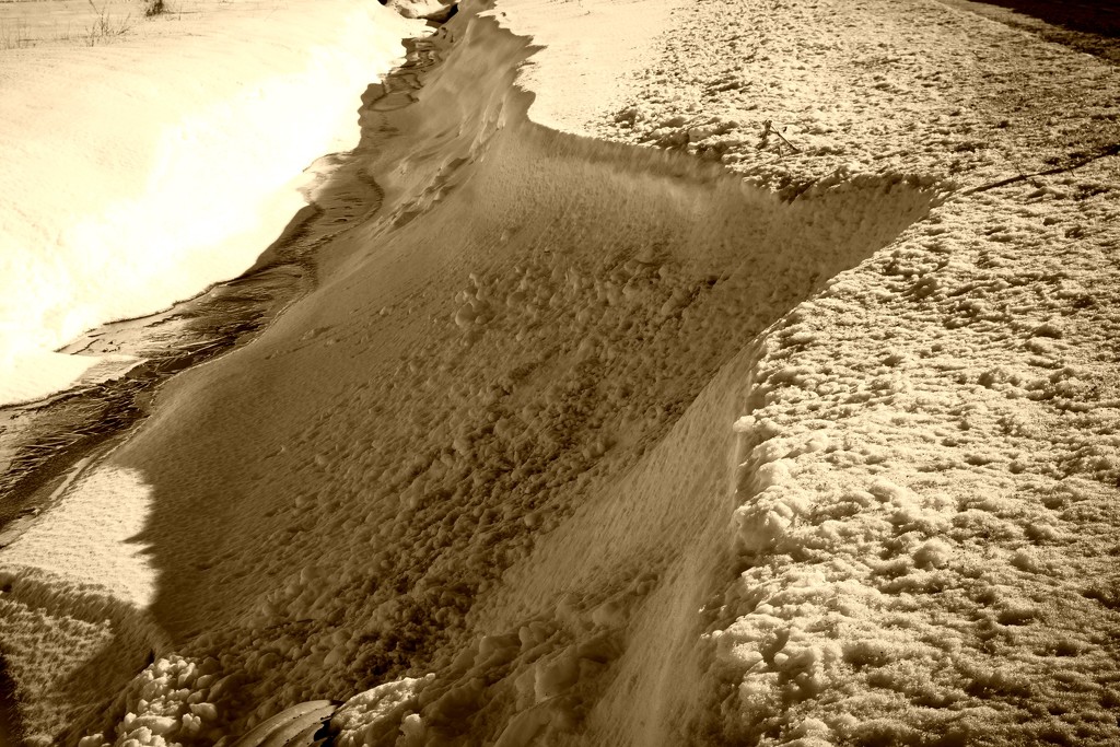 A Glengarry Sand Dune in February by farmreporter
