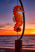 30th Jan 2020 - Seahorse Sculpture