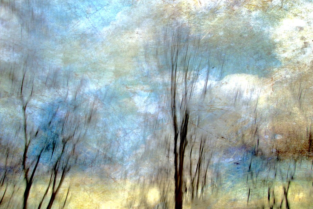 A Blur Of Trees by mzzhope