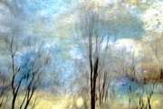 30th Jan 2020 - A Blur Of Trees