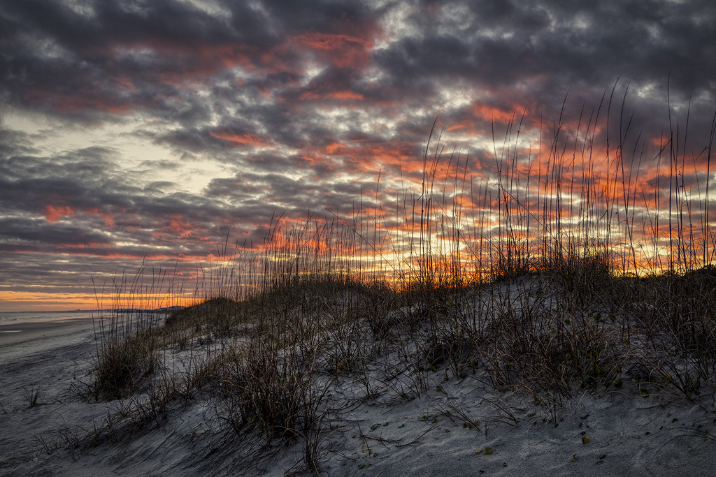 Sea Oat Sunset by kvphoto