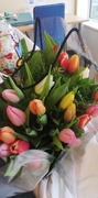 30th Jan 2020 - Tulips from Amsterdam 