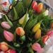 Tulips from Amsterdam  by sarah19