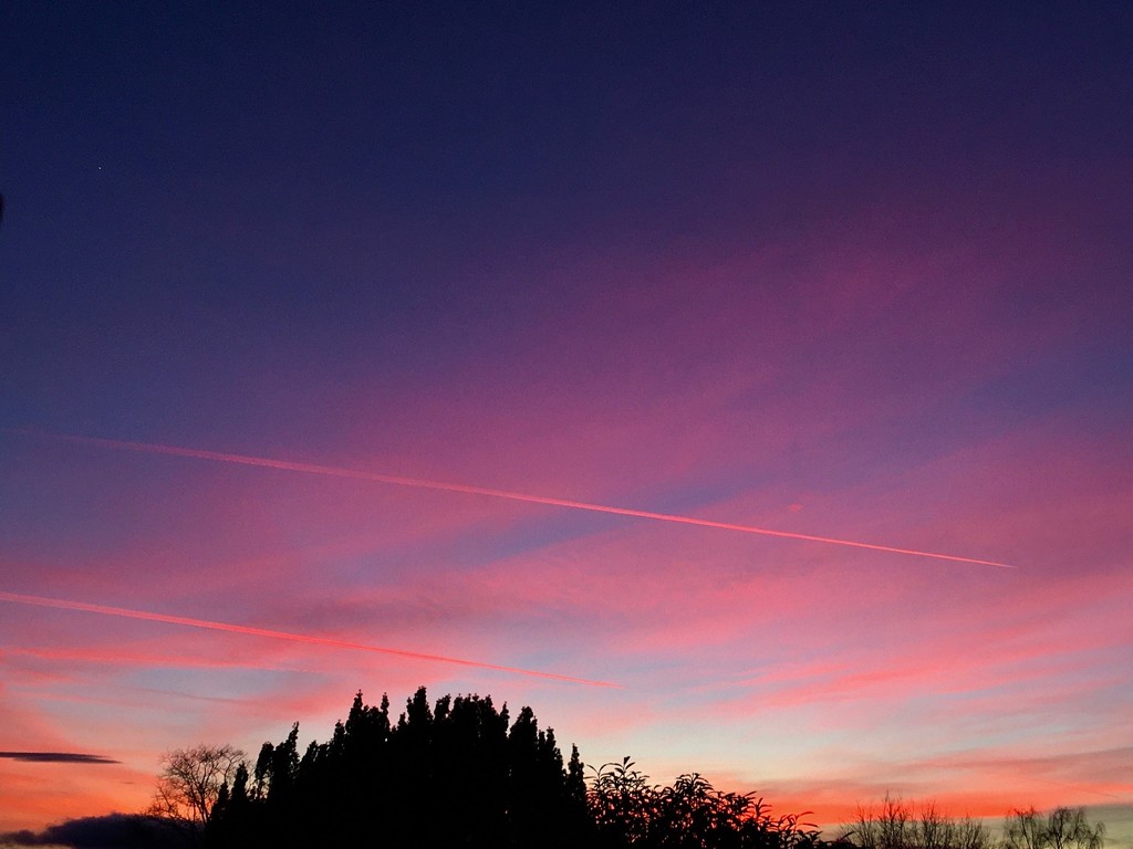 Pink sky trails by rosie00