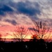 Evening Sky by carole_sandford