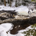 Stubbs Falls in Winter by mgmurray