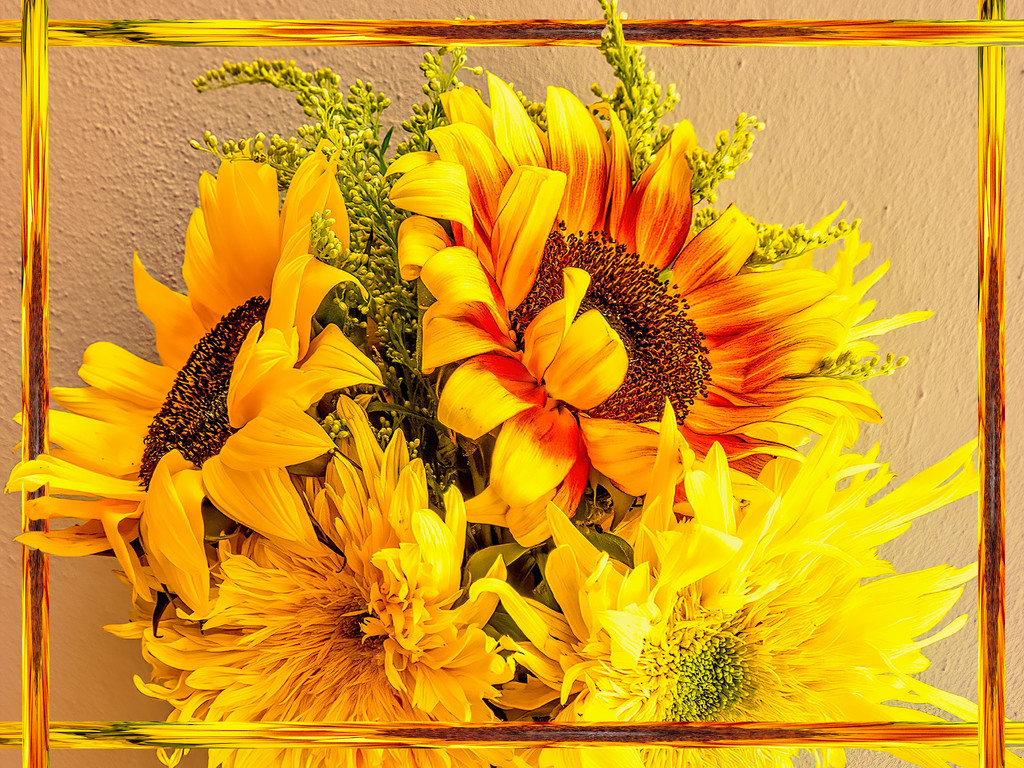 Sunflowers for Katrina by ludwigsdiana