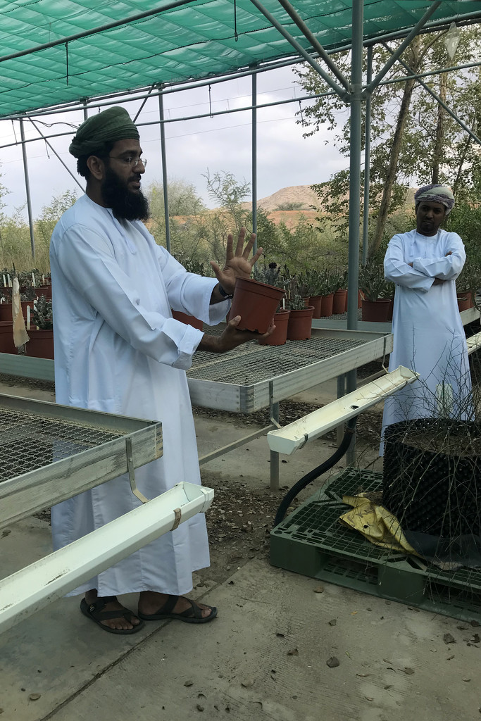 Oman Botanical Gardens by ingrid01