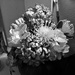 My silk flowers  by beryl