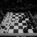 Cacti Chess by 30pics4jackiesdiamond