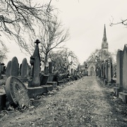 1st Feb 2020 - Walking through the Cemetery