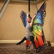 31st Jan 2020 - Hair hanger butterfly 