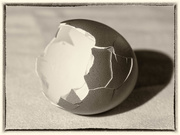 1st Feb 2020 - Egg shells