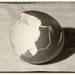Egg shells by haskar