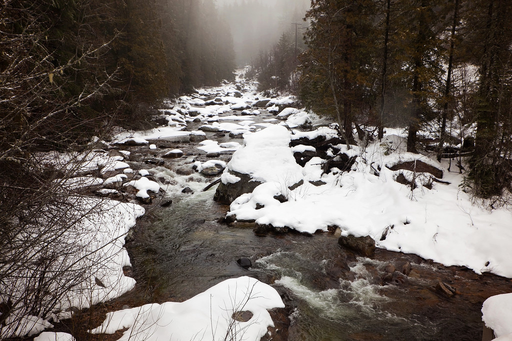 Winter stream by kiwichick