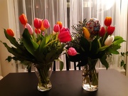 2nd Feb 2020 - Flowers from Marieke 