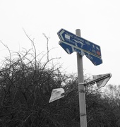 2nd Feb 2020 - Which way?