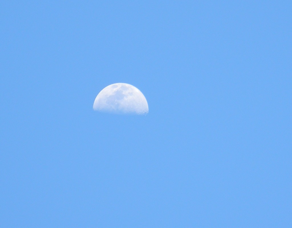 Moon in Daytime by sfeldphotos