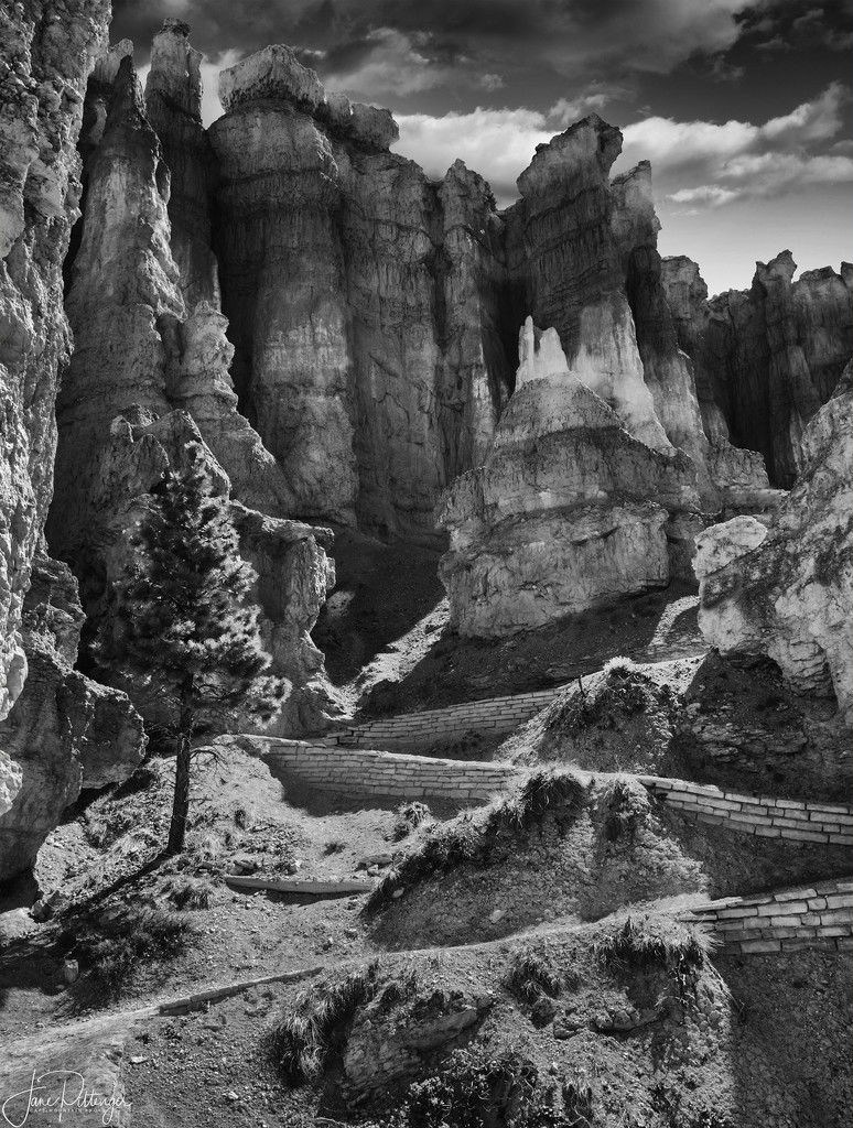 Bryce Canyon for B and W by jgpittenger